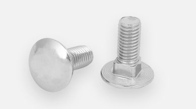 DIN603 Round Head Screw Square Neck A2
